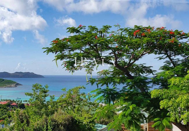 House in Saint Barthélemy - Villa Casanova (2 bedrooms) House in Saint Barthélemy - Villa Casanova (2 bedrooms)