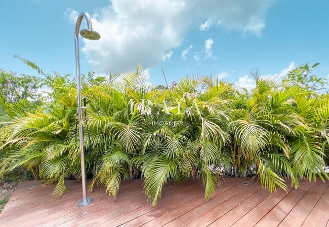 Perfectly maintained tropical garden