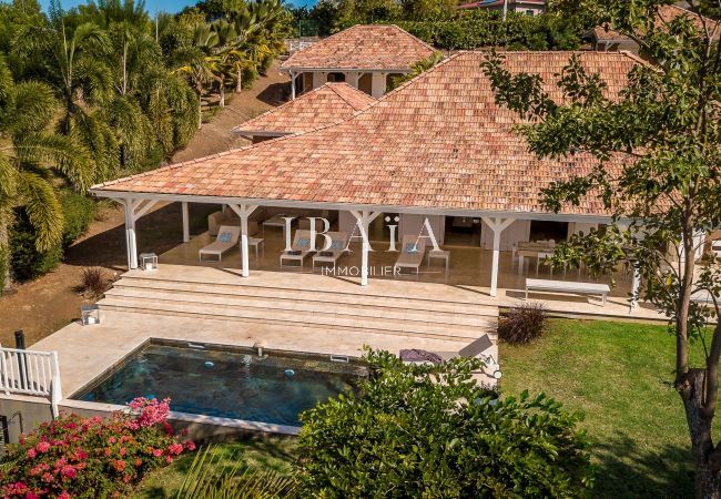 Drone view of the main villa and the two independent bungalows