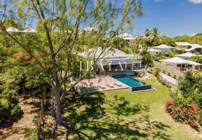 Drone view of garden and house