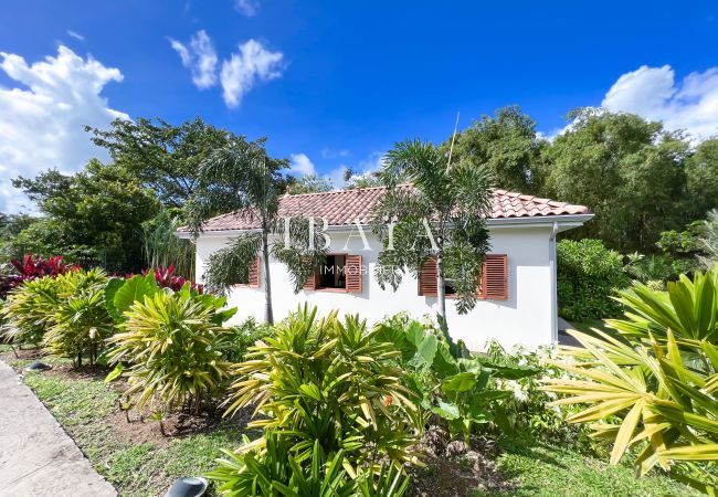 Immersion in the perfectly maintained tropical garden