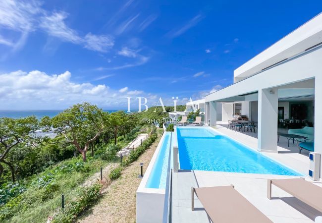 Superb infinity pool with sea view