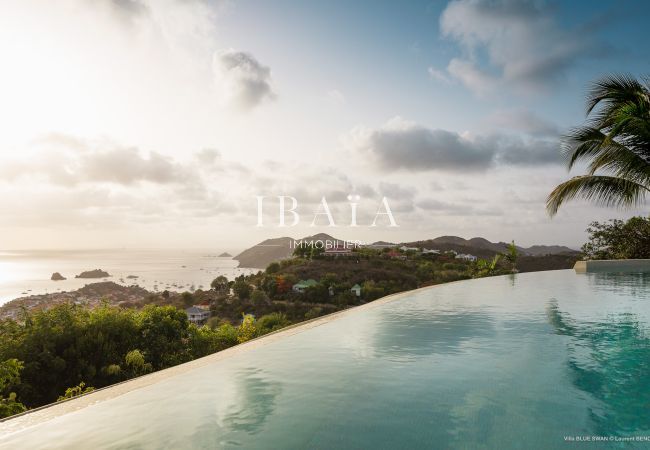 Villa in Saint Barthélemy - Villa Blue Swan (3 bedrooms) Villa in Saint Barthélemy - Villa Blue Swan (3 bedrooms)