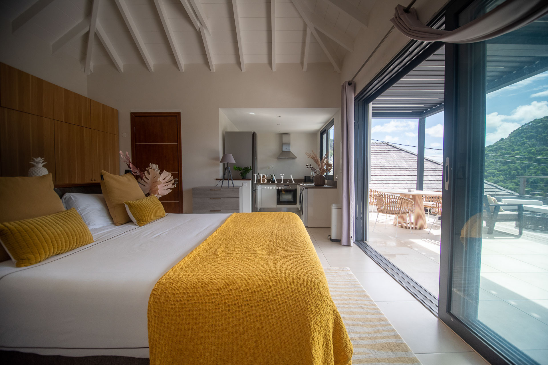  in Saint Barthélemy - Appartement Pina (1 bedroom)