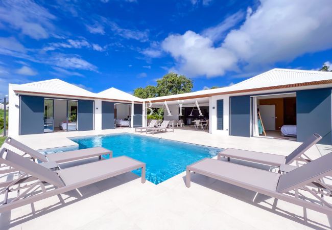 Modern villa with pool