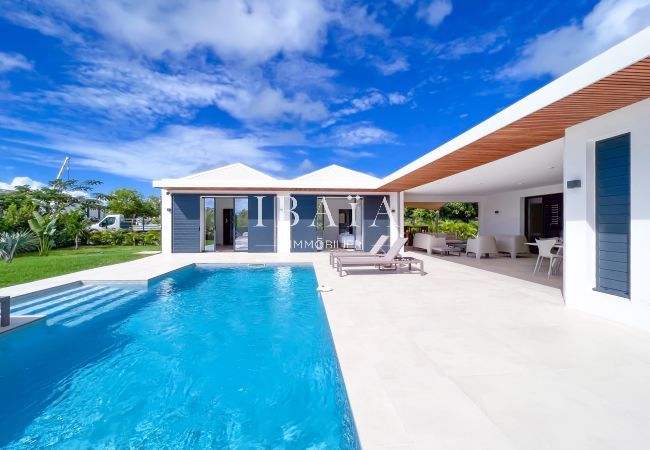 Luxury villa with pool