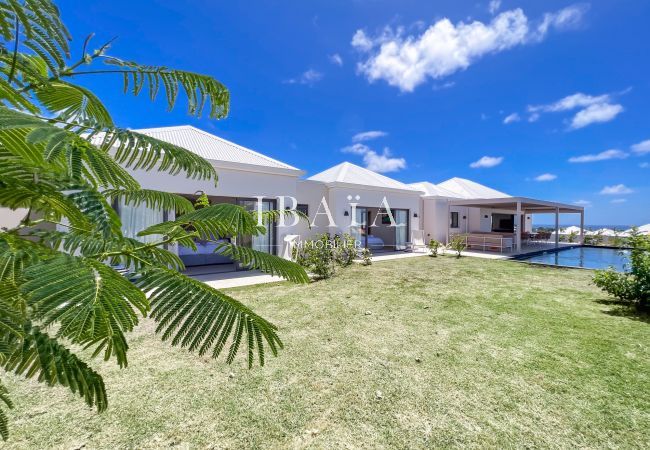 Villa with tropical garden