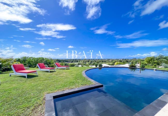 Loungers and infinity pool