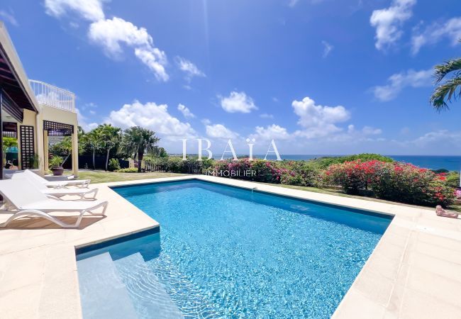 Villa in Le Gosier - Villa Lagonys
