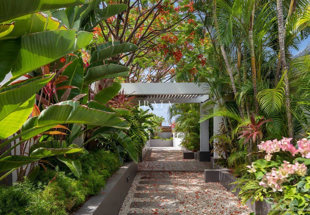 Villa in Saint Barthélemy - Villa Blue Swan (3 bedrooms)