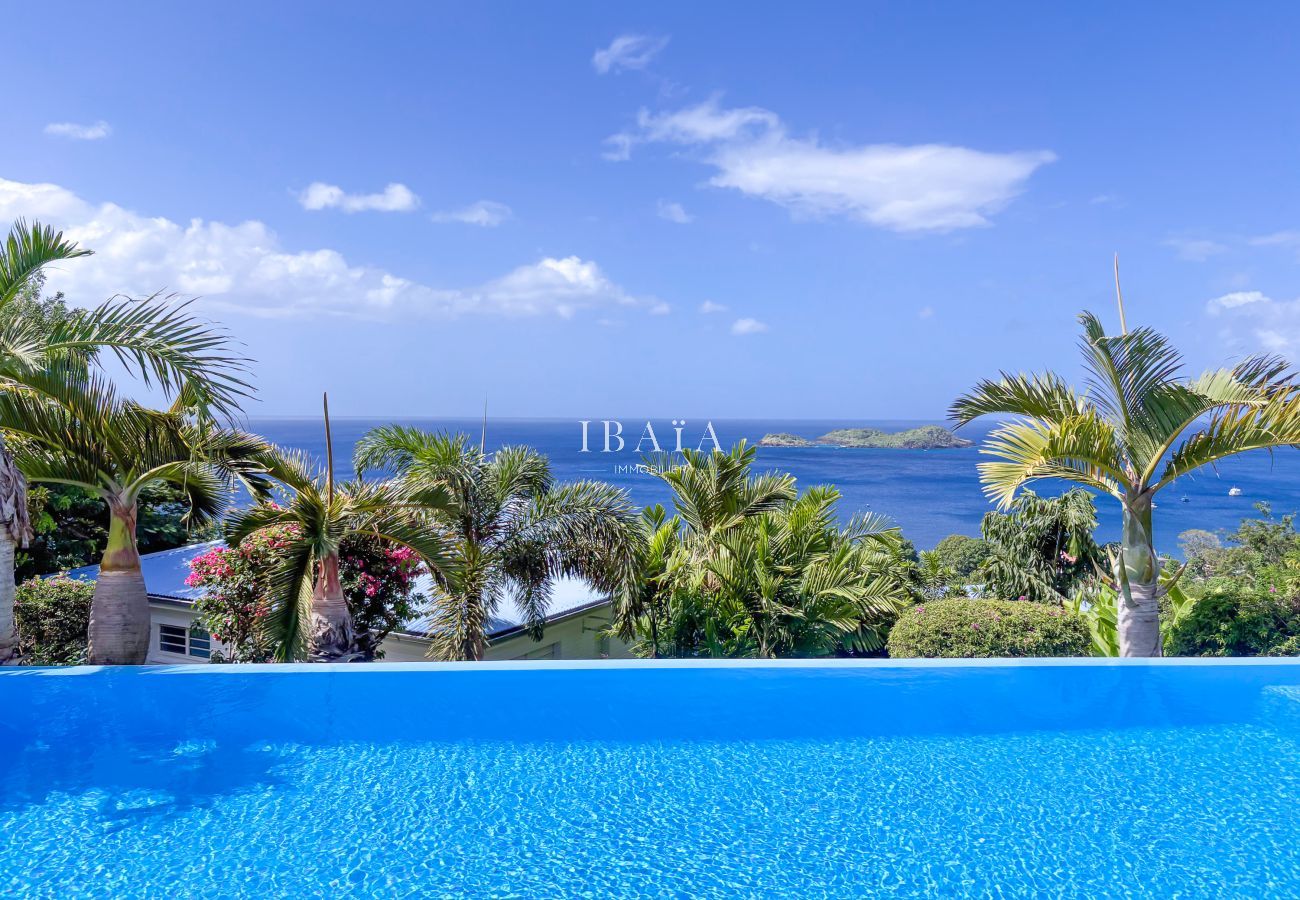 Villa in Bouillante - Villa Sunset Palm