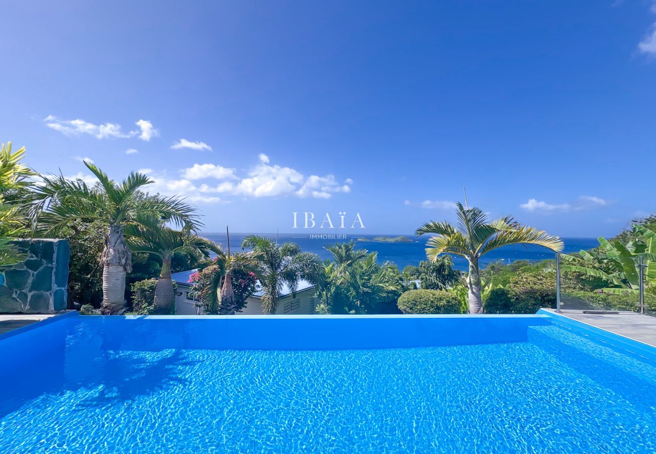 Villa in Bouillante - Villa Sunset Palm