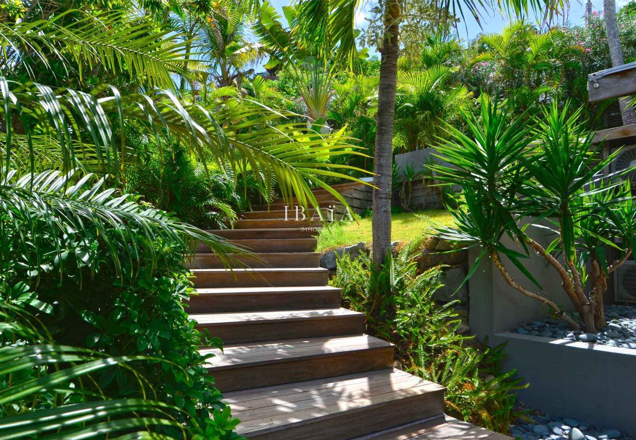Villa in Saint Barthélemy - Villa Rincon (4 bedrooms)