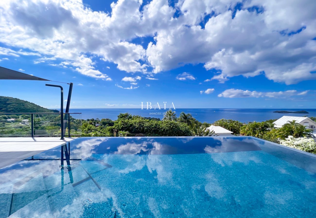 Villa with infinity pool