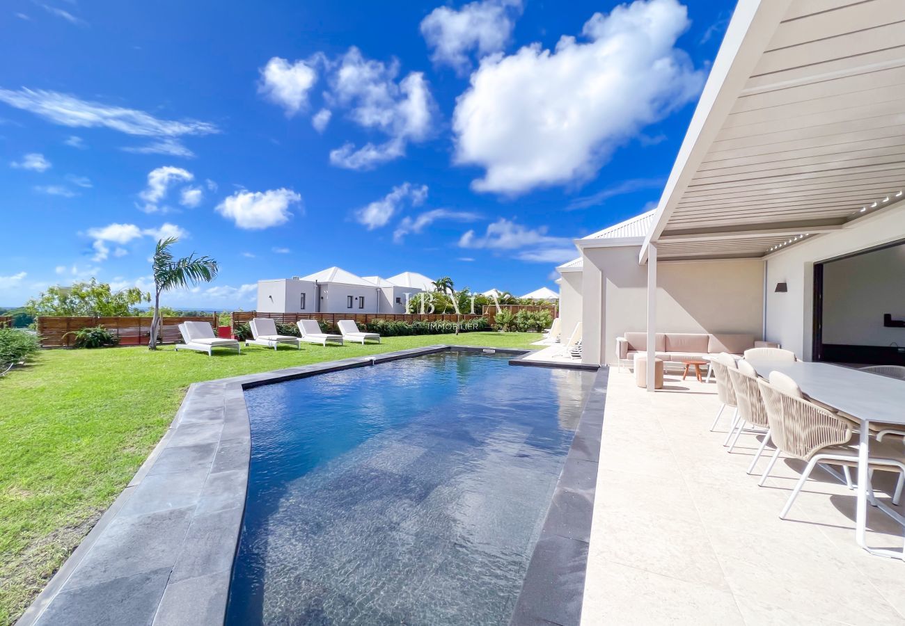 Luxury villa garden and pool