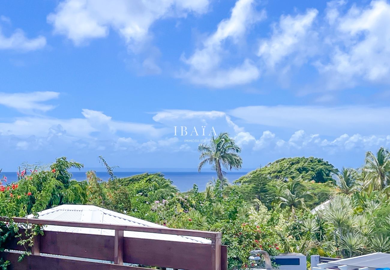 Lush greenery and Caribbean sea view