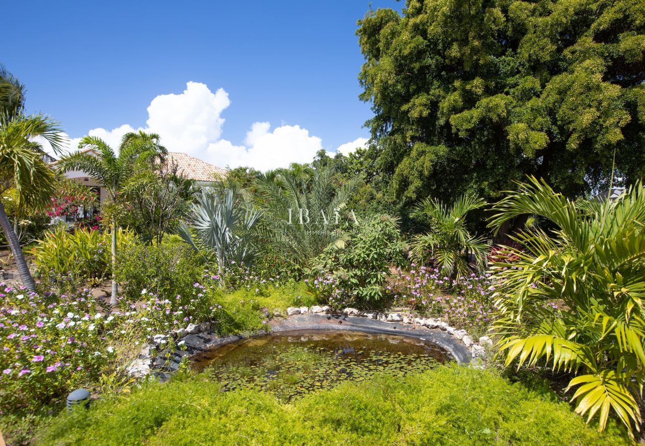 Villa in Terres Basses - Villa Riviera