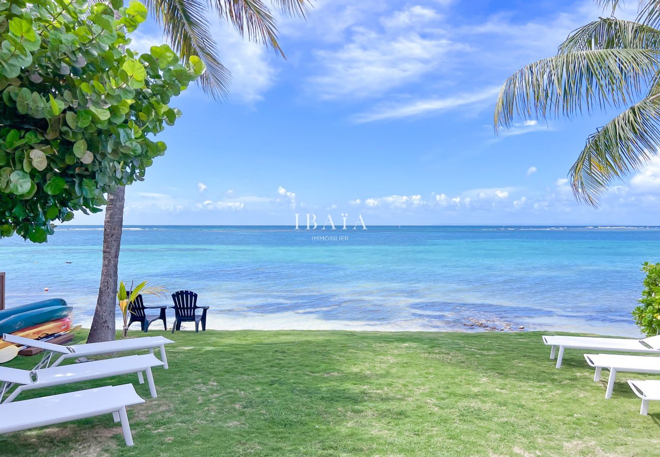 Garden by the sea with sun loungers and palms