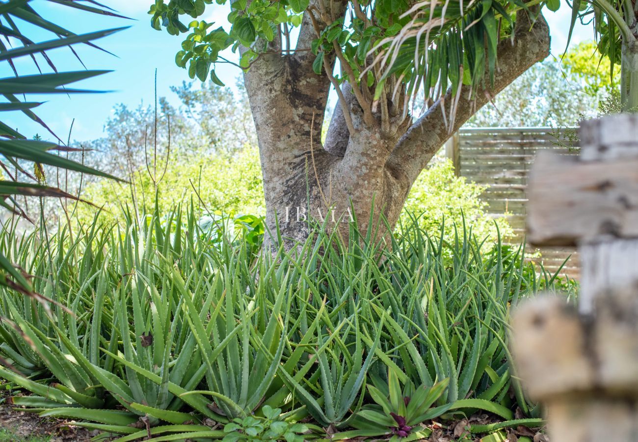 Villa in Le Moule - Villa Rivage d'Azur