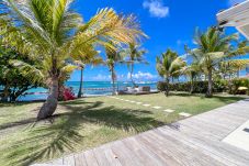 Impresionante vista del jardín, el mar y la laguna de Saint-François desde la terraza de la villa, con cocoteros y buganvillas, en las Antillas.