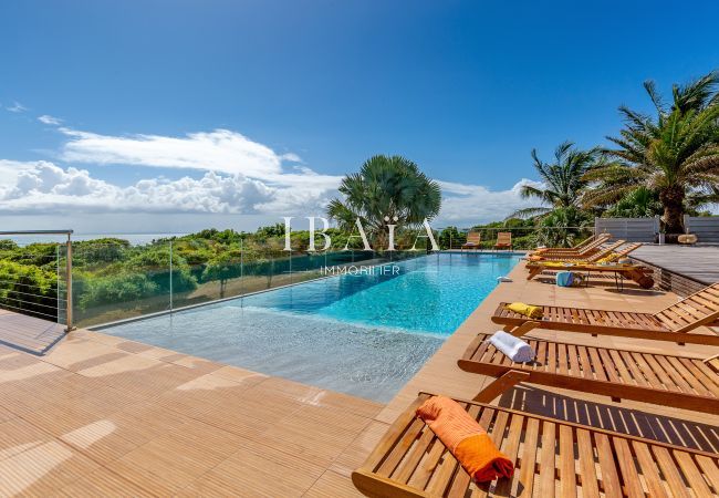 Vista de la piscina infinita, rodeada de tumbonas de madera, en una villa de lujo en las Antillas, para momentos de relax junto a la piscina.