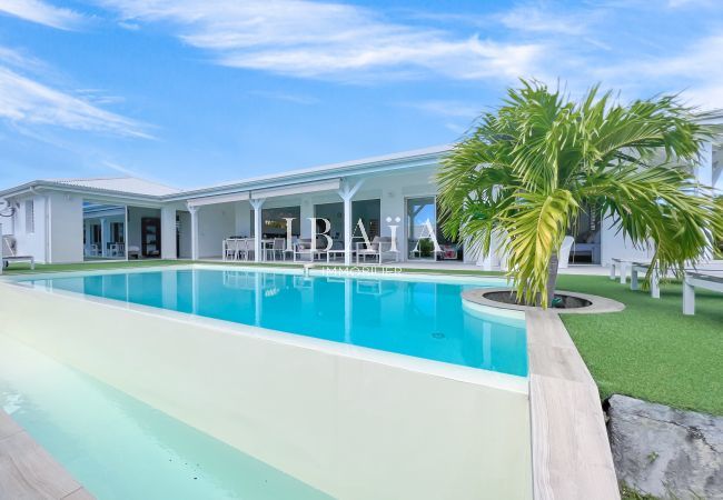 Piscina con integración de un cocotero del jardín