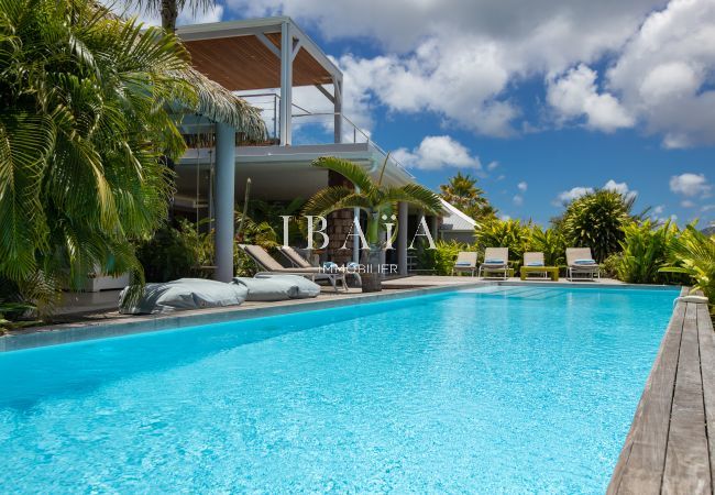 Vista de la gran piscina rectangular con tumbonas de nuestra villa de lujo en las Antillas