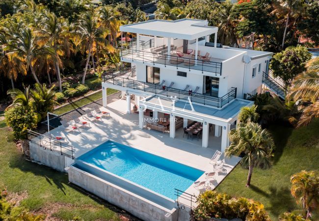 Casa moderna rodeada de palmeras con piscina