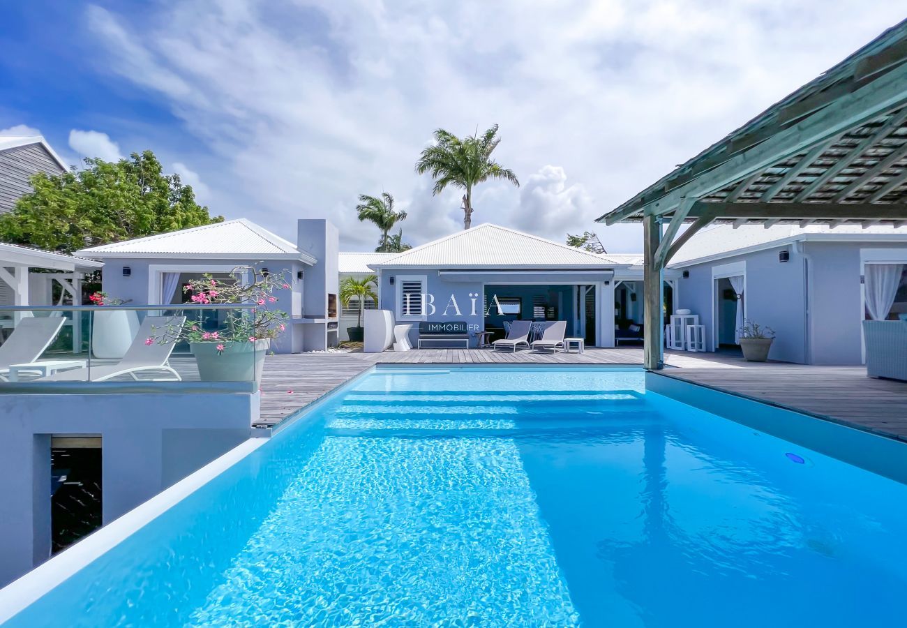 Vista de la piscina rectangular con tumbonas y patio en nuestra villa de lujo en las Antillas