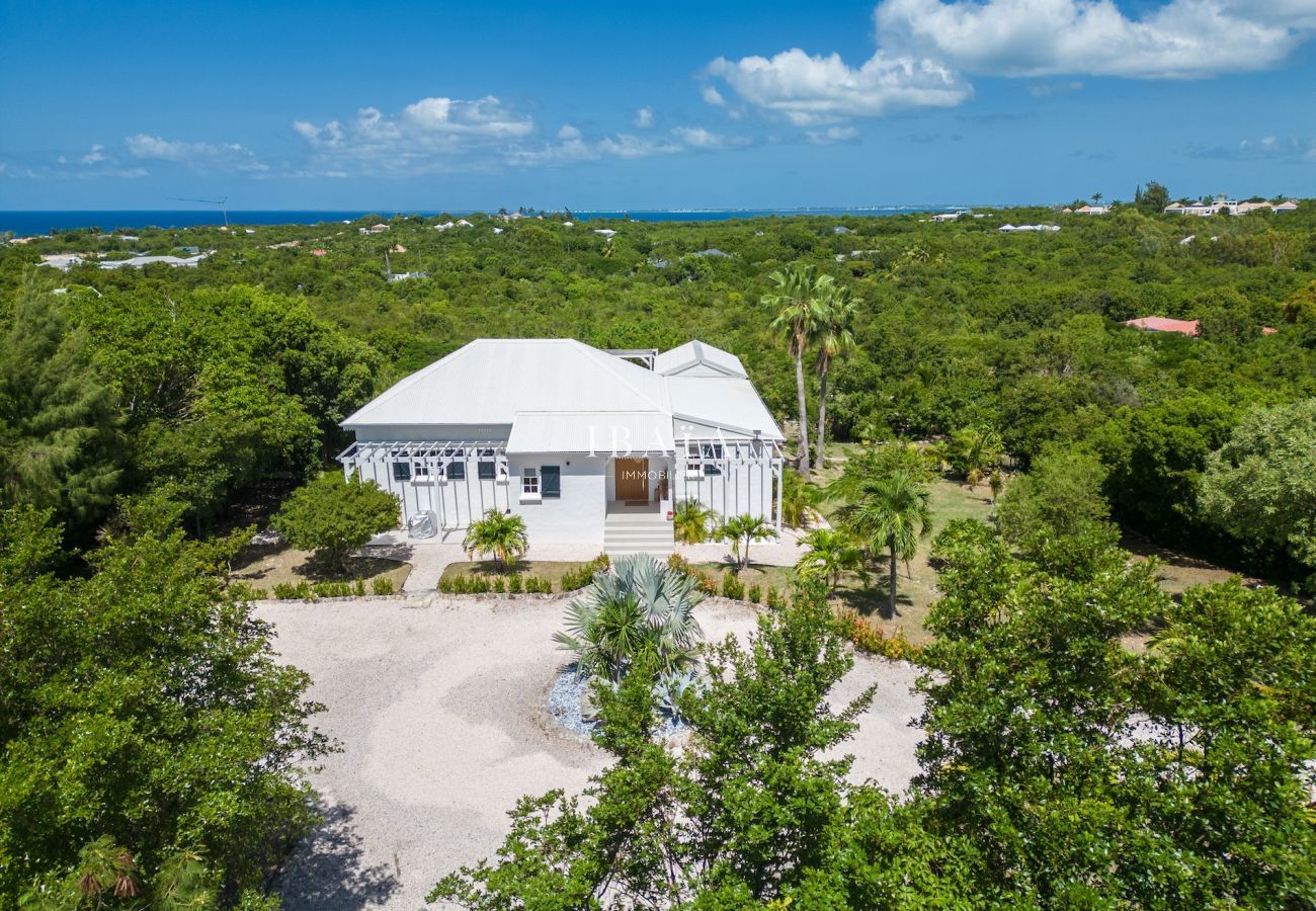 Villa en Terres Basses - Villa Les Oliviers