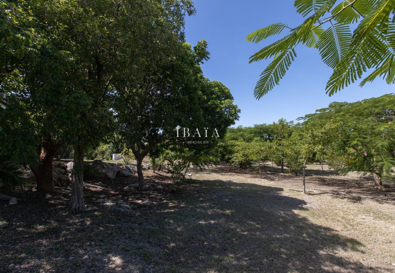 Villa en Terres Basses - Villa Les Oliviers