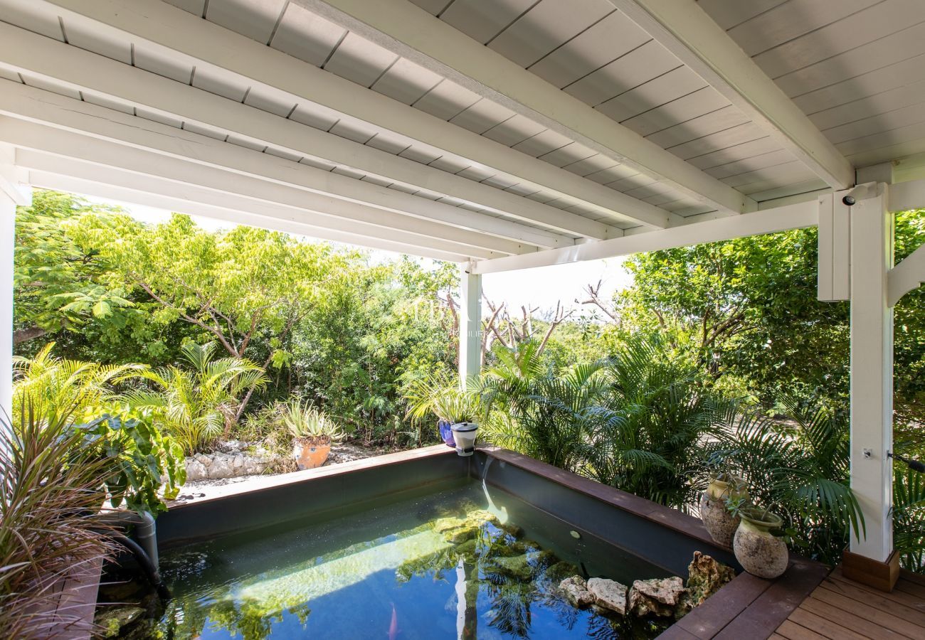 Villa en Terres Basses - Villa Les Oliviers