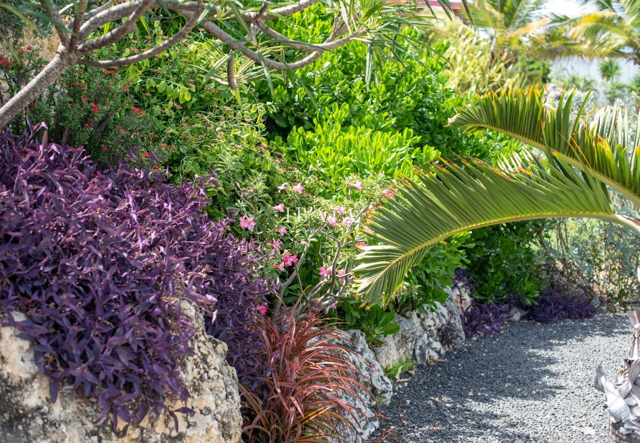 Villa en Le Moule - Villa Rivage d'Azur