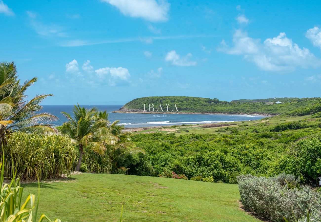 Vista al mar con vegetación tropical y colina verde