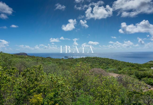 Villa à Saint Barthélemy - Villa Dasha (3 bedrooms) Villa à Saint Barthélemy - Villa Dasha (3 bedrooms)