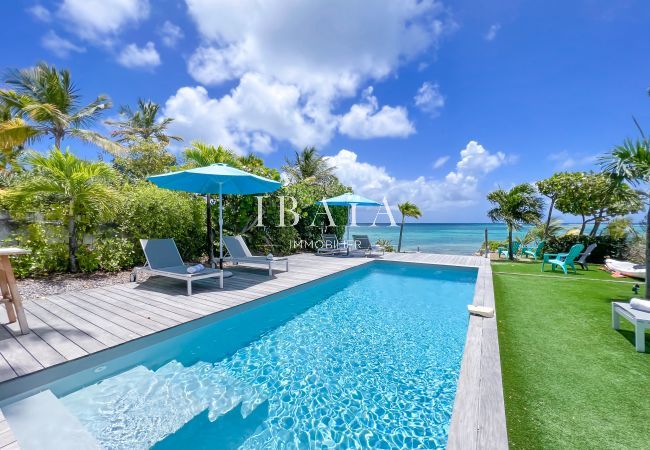 Piscine rectangulaire avec vue sur la mer, 4 transats, 2 parasols et terrasse en bois - Villa haut de gamme aux Antilles