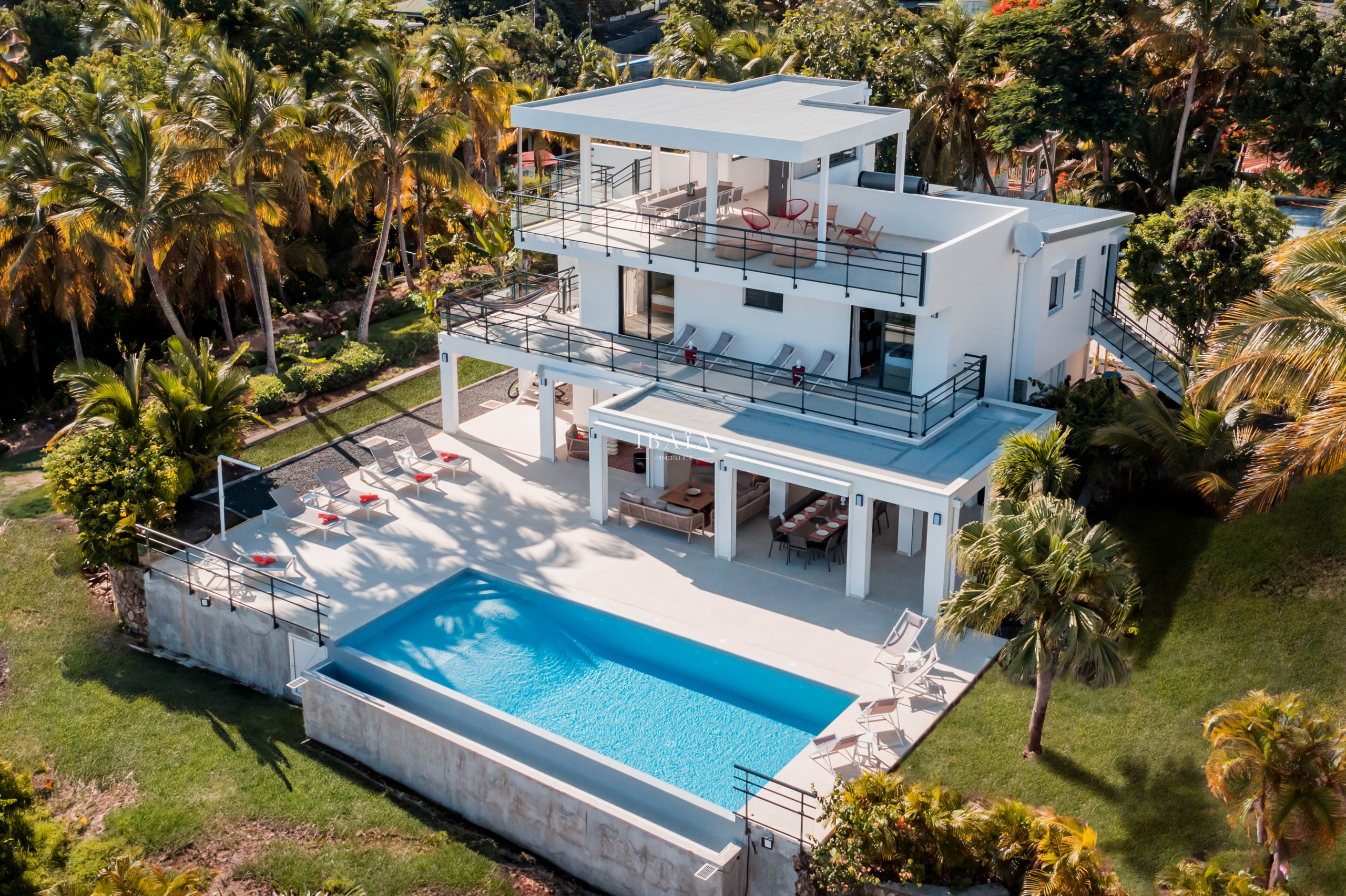 Maison moderne entourée de palmiers avec piscine