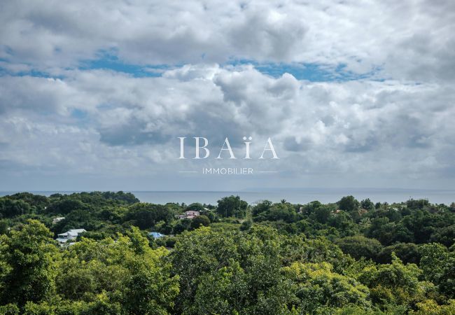 Paysage de forêt avec vue sur la mer