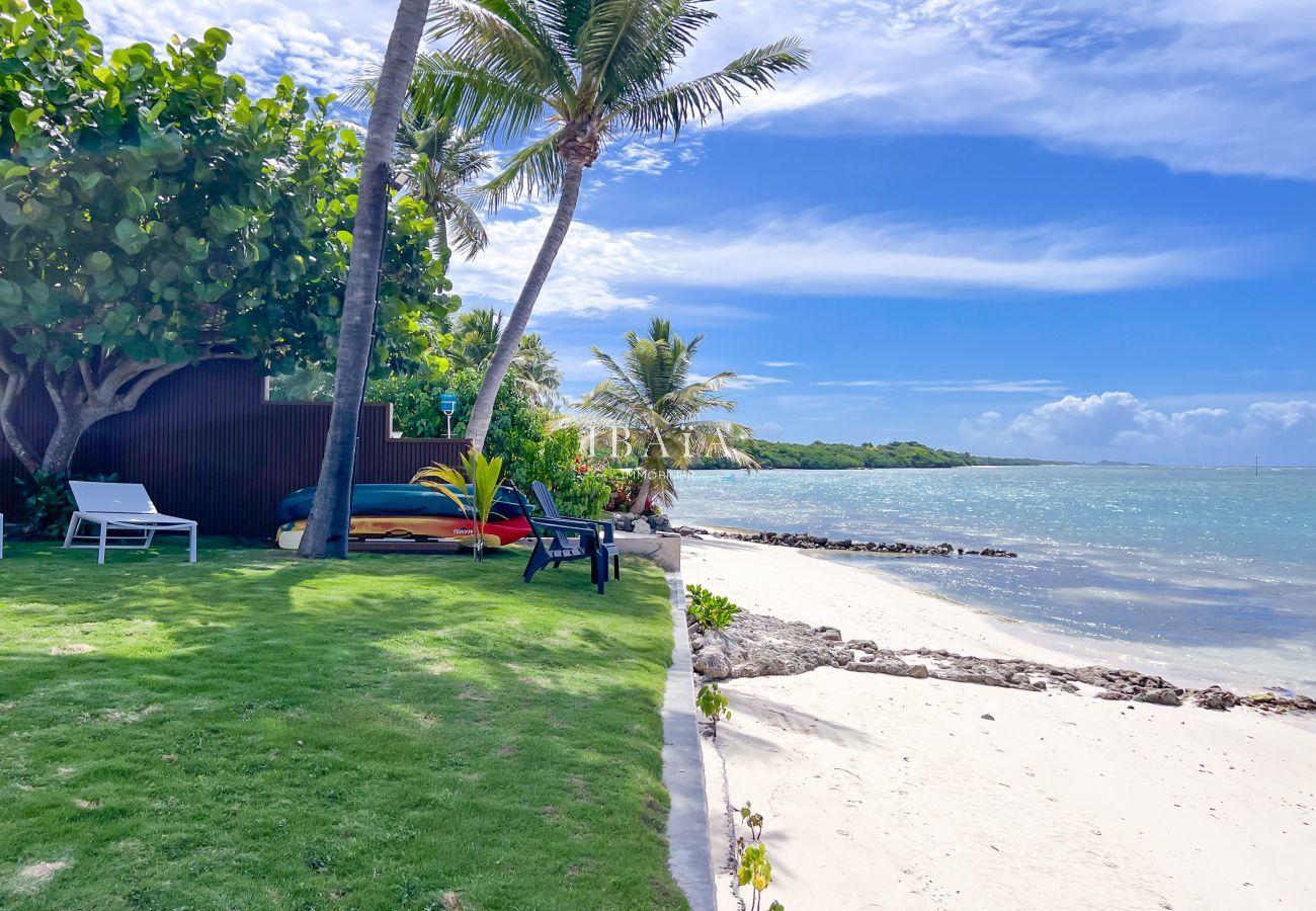Vue jardin, palmiers et plage des Caraïbes