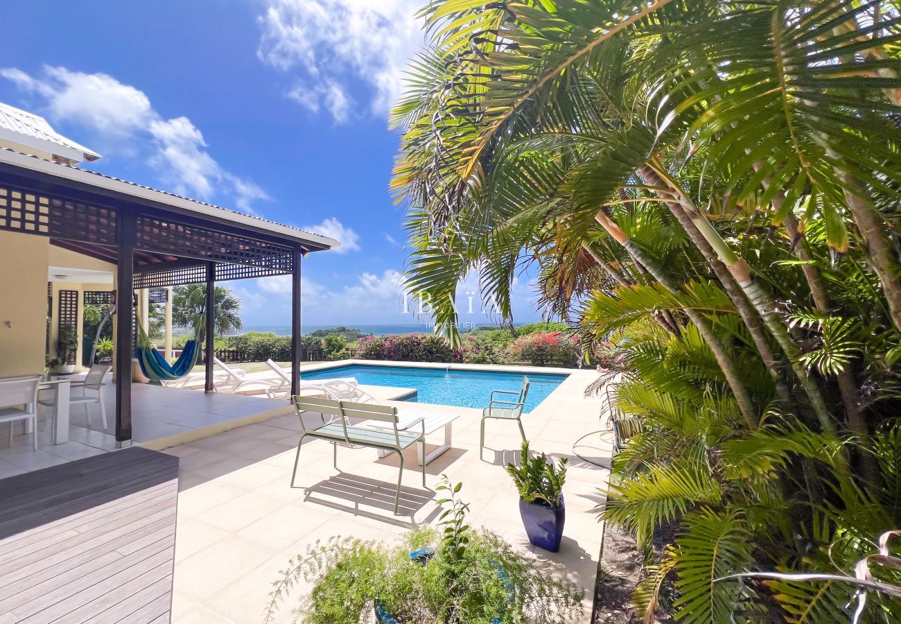 Terrasse, piscine privée et jardin tropical de la Villa Lagonys